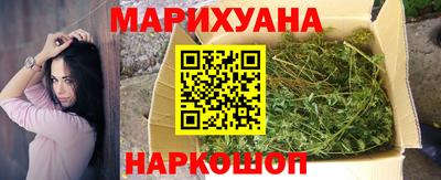 сатива Кунгур