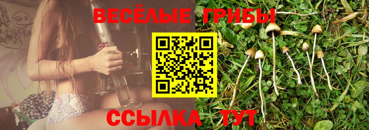 Галлюциногенные грибы MAGIC MUSHROOMS  Псилоцибиновые грибы мицелий  продажа наркотиков  Вход с VPN  Ейск 